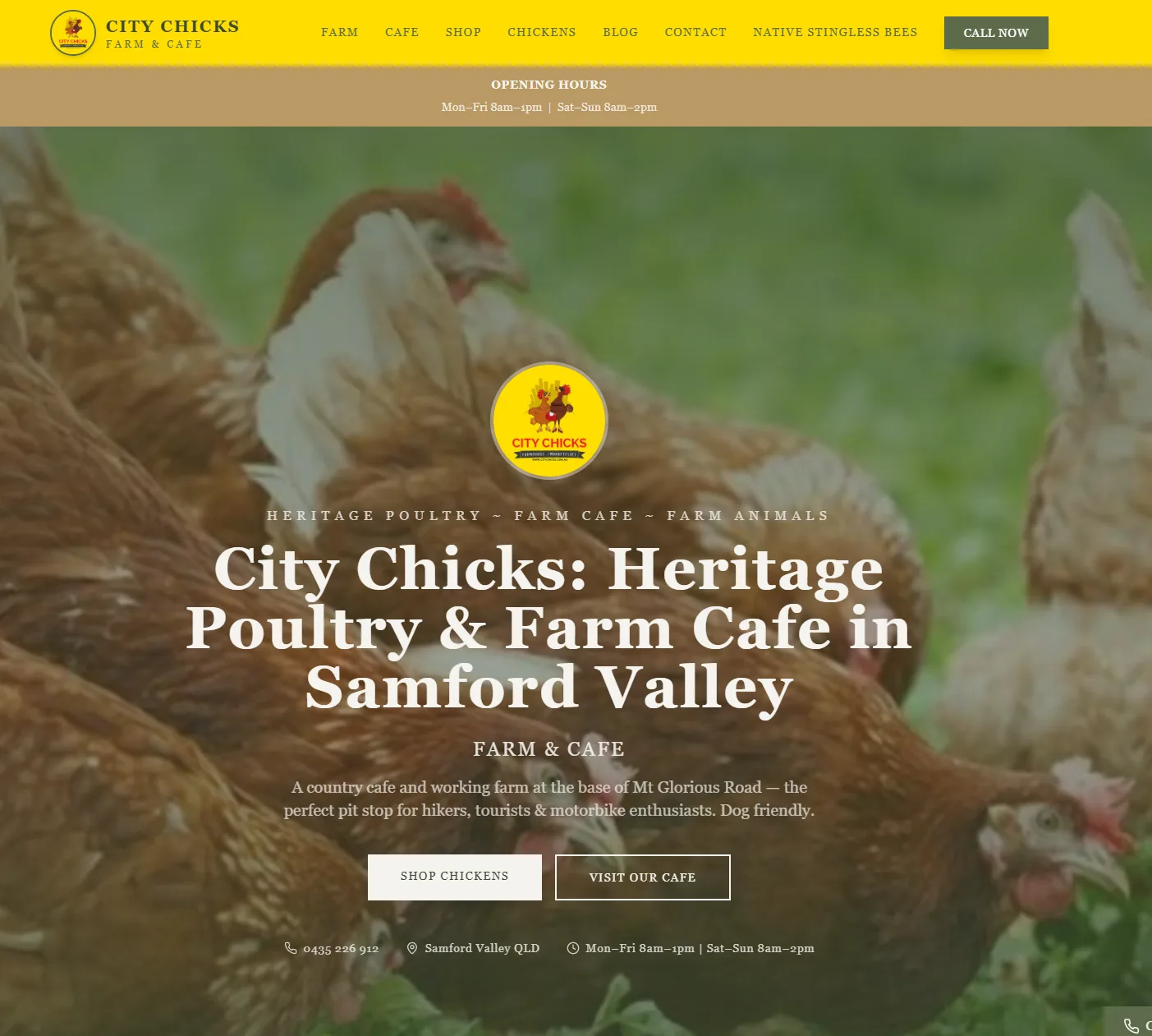City Chicks website designed by SuccessWithMark.Rocks